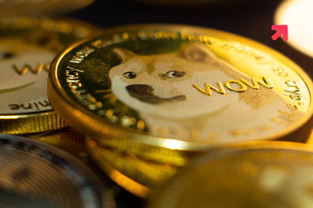 Robinhood Opines Dogecoin Accounted for 34% of Crypto Revenue in Q1