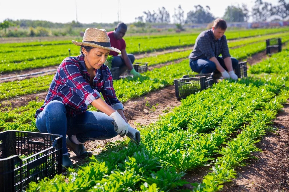 agriculture app development